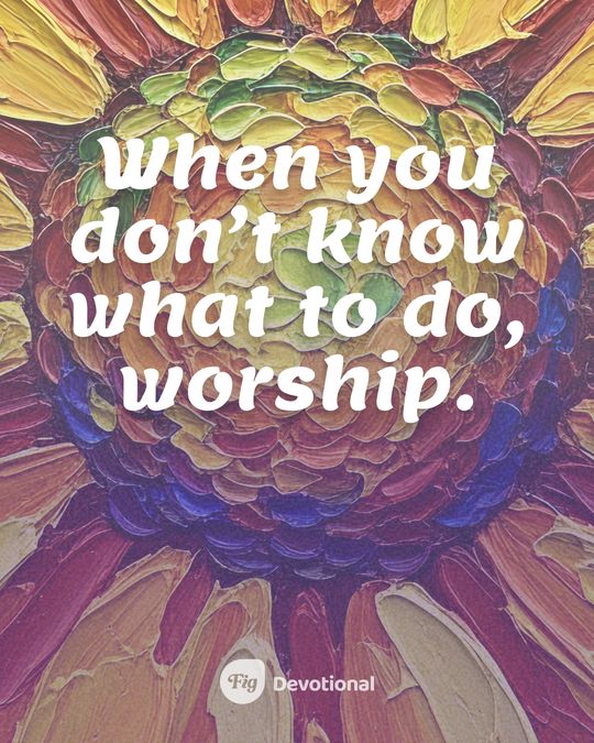 Fig Devotional keepsake card reading: When you don’t know what to do, worship.